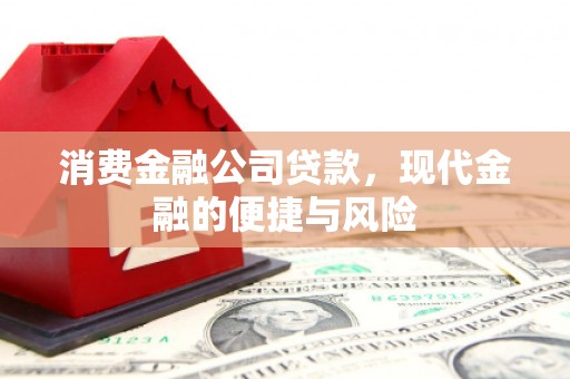 长白消费金融公司贷款，现代金融的便捷与风险
