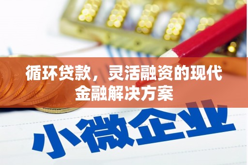 长白循环贷款，灵活融资的现代金融解决方案