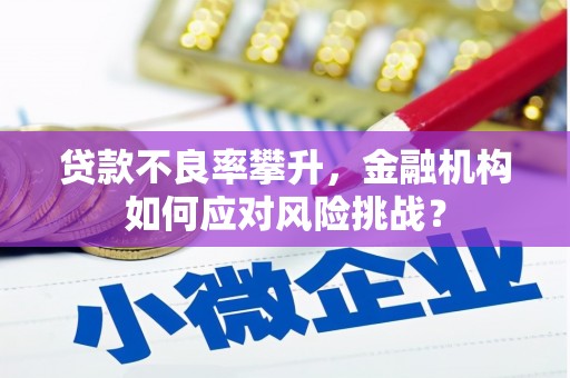 长白贷款不良率攀升，金融机构如何应对风险挑战？