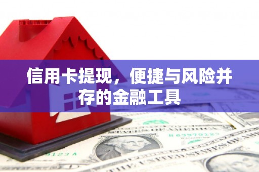 长白信用卡提现，便捷与风险并存的金融工具