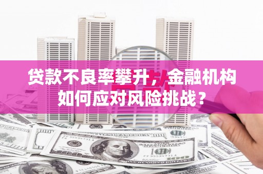 长白贷款不良率攀升，金融机构如何应对风险挑战？
