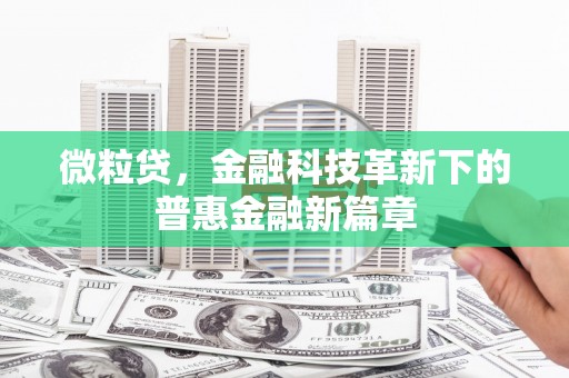 长白微粒贷，金融科技革新下的普惠金融新篇章