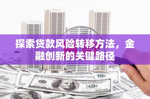 长白探索贷款风险转移方法，金融创新的关键路径