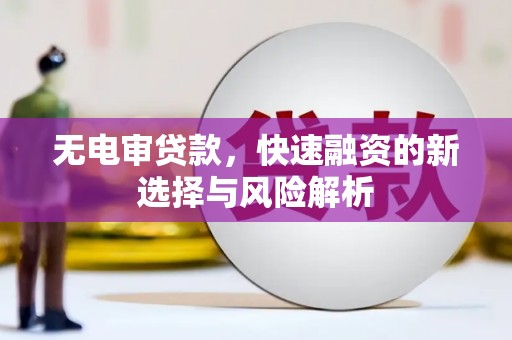 长白无电审贷款，快速融资的新选择与风险解析