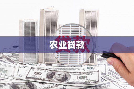 长白农业贷款