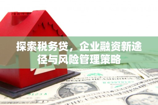 长白探索税务贷，企业融资新途径与风险管理策略