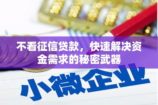 长白不看征信贷款，快速解决资金需求的秘密武器