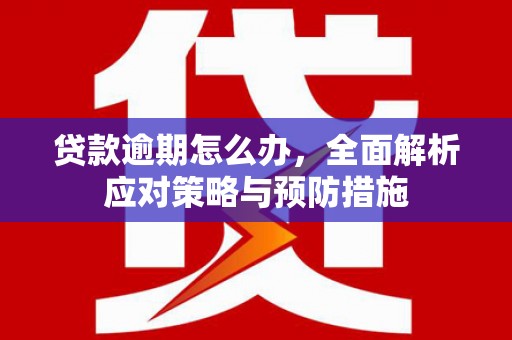 长白贷款逾期怎么办，全面解析应对策略与预防措施