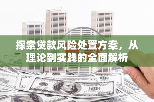 长白探索贷款风险处置方案，从理论到实践的全面解析