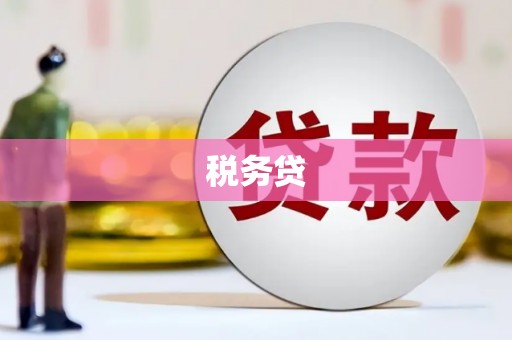 长白税务贷