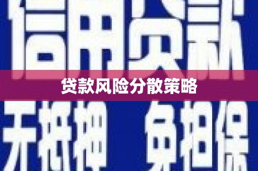 长白贷款风险分散策略