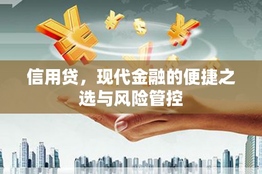 长白信用贷，现代金融的便捷之选与风险管控