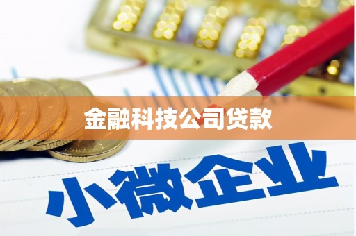 长白金融科技公司贷款