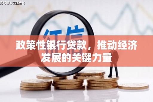长白政策性银行贷款，推动经济发展的关键力量