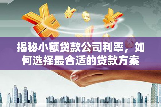 长白揭秘小额贷款公司利率，如何选择最合适的贷款方案