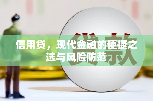 长白信用贷，现代金融的便捷之选与风险防范