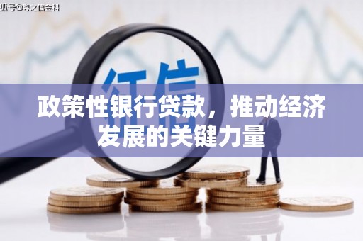 长白政策性银行贷款，推动经济发展的关键力量