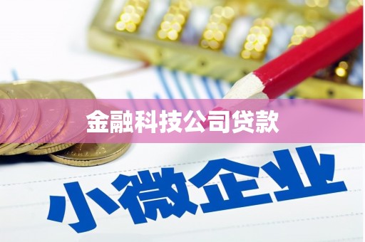 长白金融科技公司贷款