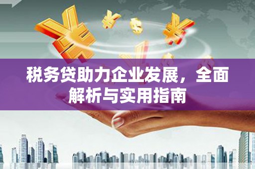 长白税务贷助力企业发展，全面解析与实用指南