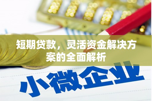 长白短期贷款，灵活资金解决方案的全面解析
