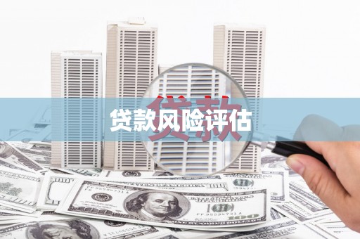 长白贷款风险评估
