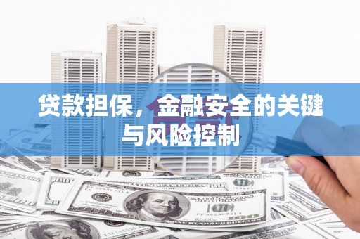 长白贷款担保，金融安全的关键与风险控制