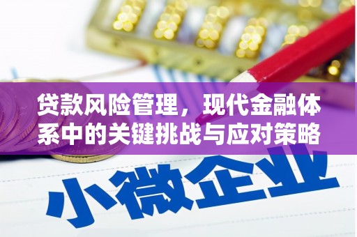 长白贷款风险管理，现代金融体系中的关键挑战与应对策略