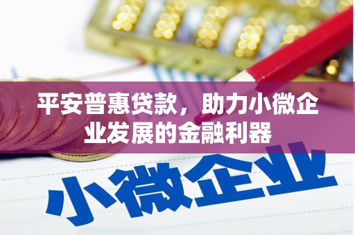 长白平安普惠贷款，助力小微企业发展的金融利器