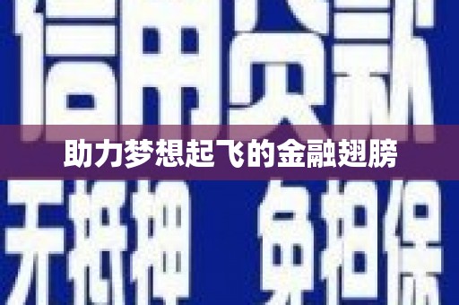长白助力梦想起飞的金融翅膀