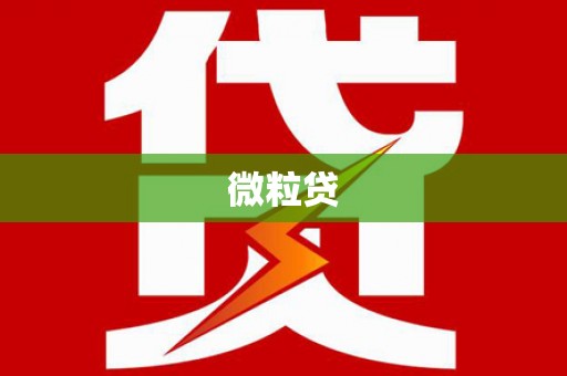 长白微粒贷