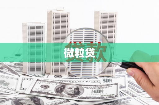长白微粒贷