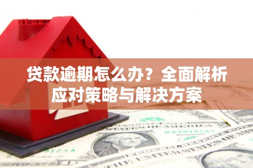 长白贷款逾期怎么办？全面解析应对策略与解决方案