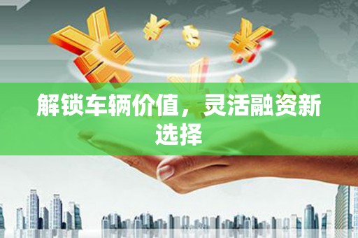 长白解锁车辆价值，灵活融资新选择