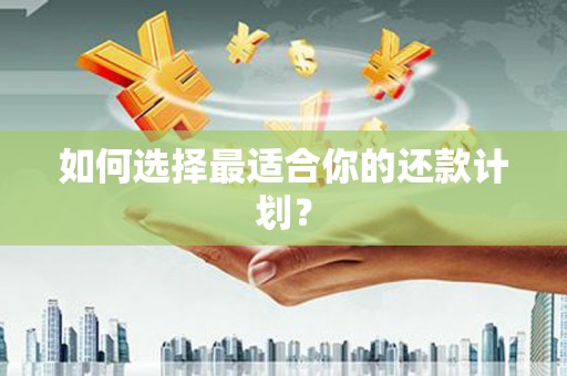 长白如何选择最适合你的还款计划？