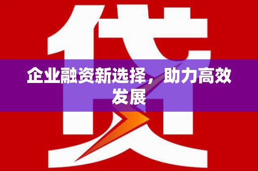 长白企业融资新选择，助力高效发展