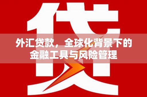 长白外汇贷款，全球化背景下的金融工具与风险管理