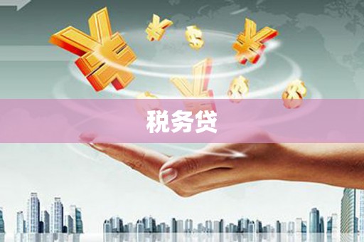 长白税务贷